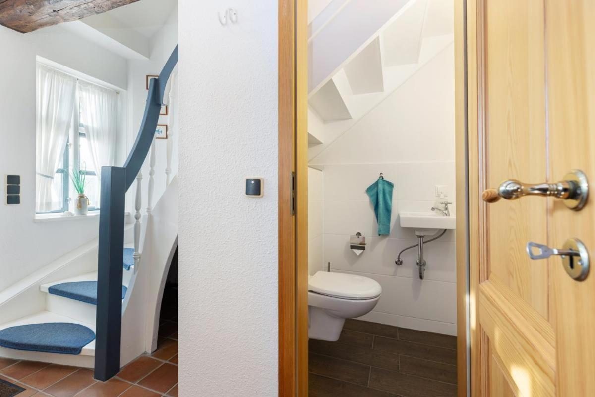 Villa Deichmuschel à Woehrden Extérieur photo
